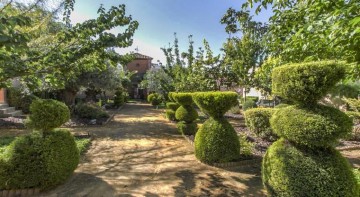Finca Villa Juan