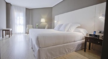 Hotel Barceló V Centenario