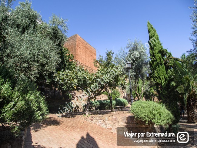 Cubo del Olivar