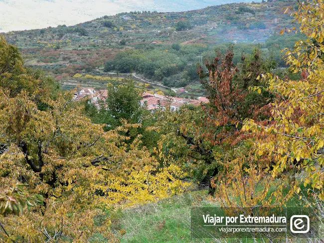 Valle del Jerte. Casas del Castañar desde la sierra
