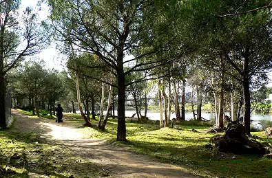 Parque natural de Berlanga