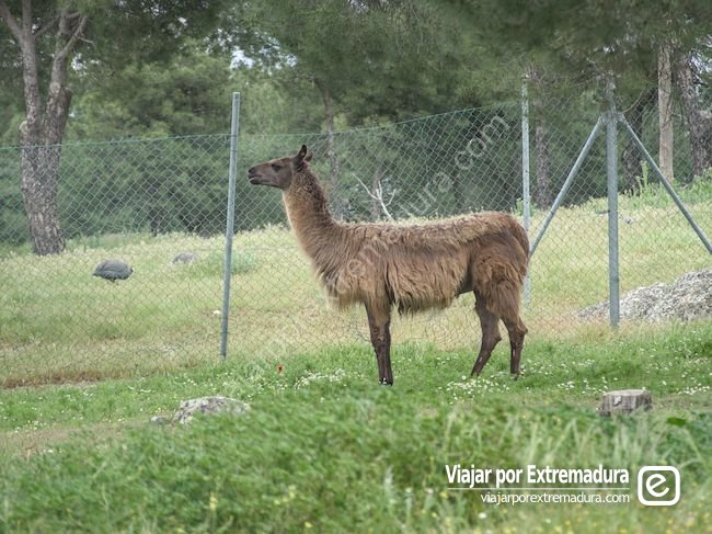 Parque natural de Berlanga