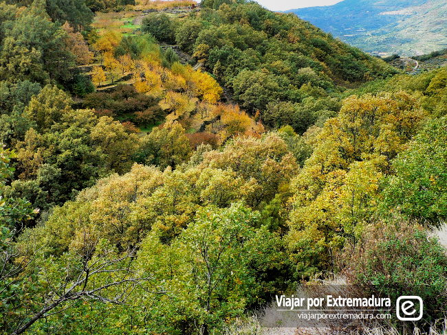 Valle del Jerte. Paisajes sierra otoño