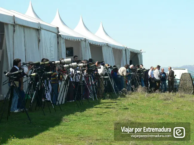 FIO - Feria de Turismo Ornitologico Monfragüe - Equipo fotográfico y observación de aves