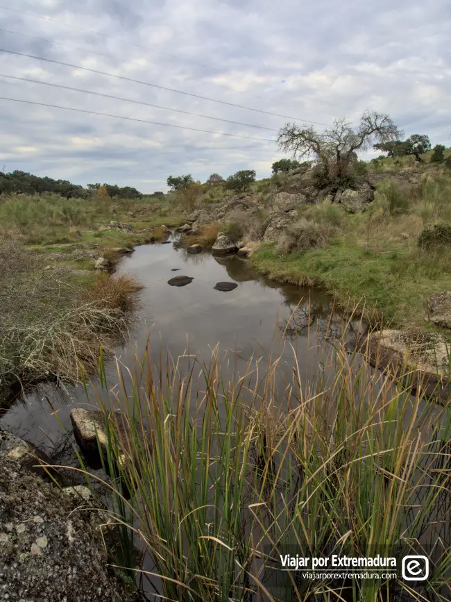 Arroyo del Muelas en la zona del Rugidero Cornalvo