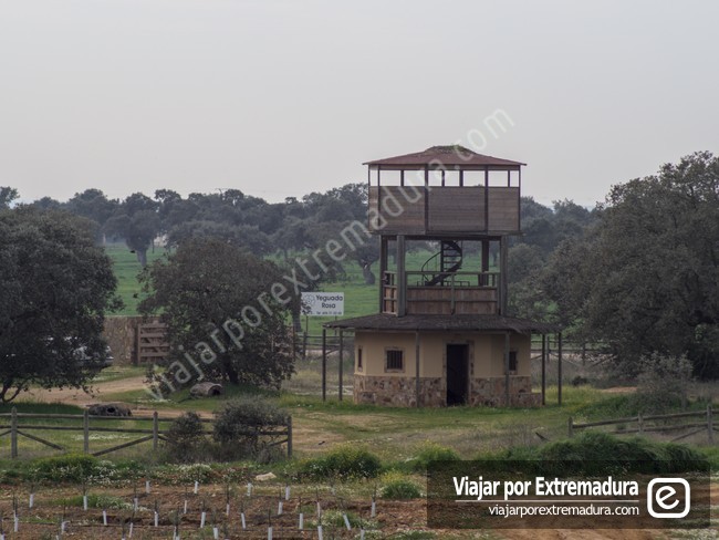 Torre de observación del Parque Periurbano Moheda Alta