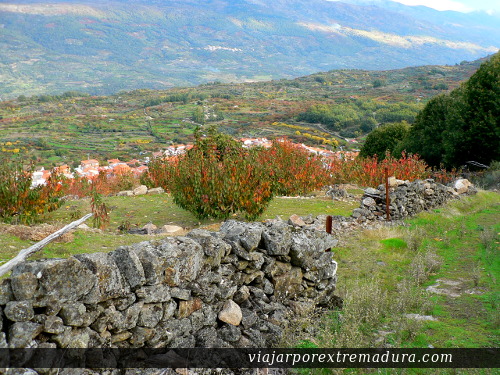 Otoño en el Valle del Jerte - Extremadura